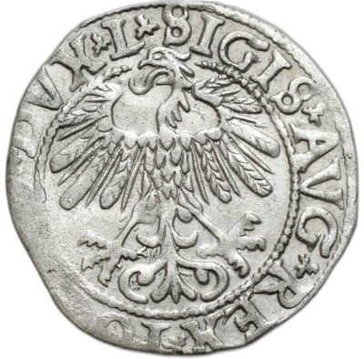 Zygmunt II August. Półgrosz 1558, Wilno