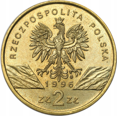 III RP 2 złote 1996 Jeż – RZADSZE