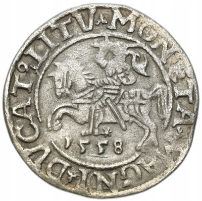 Zygmunt II August. Półgrosz 1558, Wilno