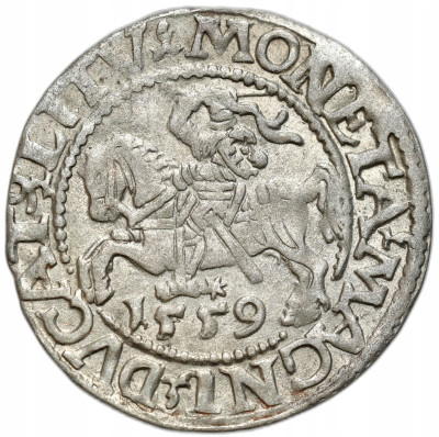 Zygmunt II August. Półgrosz 1559, Wilno