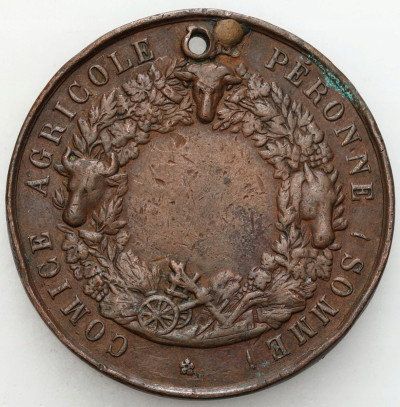 Medal nagrodowy, wystawa rolnicza i przemysłowa.