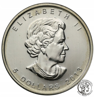 Kanada 5 dolarów 2013 bizon SREBRO uncja