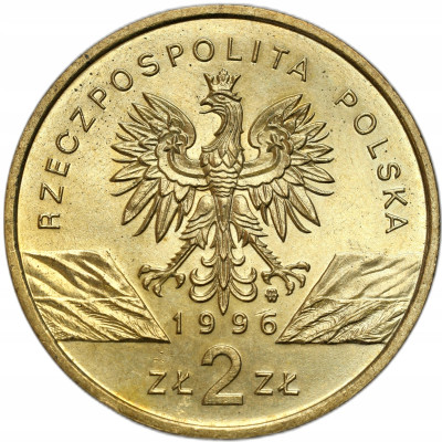 2 złote 1996 Jeż – RZADSZE