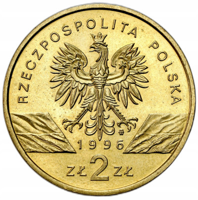 2 złote 1996 Jeż – RZADSZE