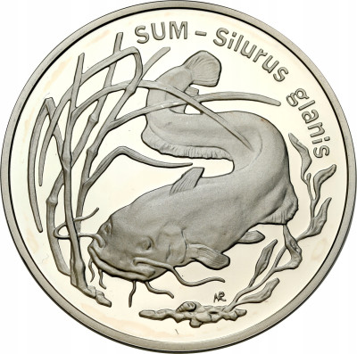 III RP. 20 złotych 1995 Sum - RZADSZE