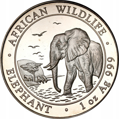 Somalia 100 szylingów 2010 słoń SREBRO uncja