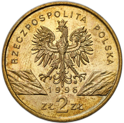 2 złote 1996 Jeż – RZADSZE
