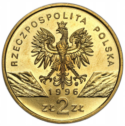 III RP 2 złote 1996 Jeż – RZADSZE