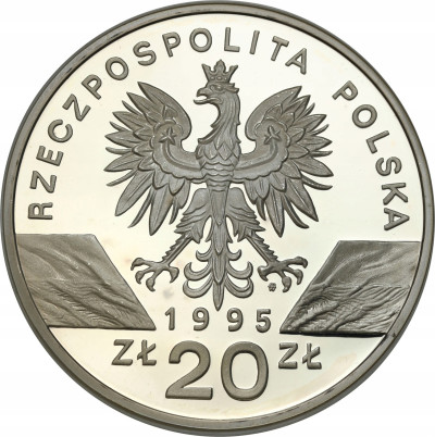 III RP. 20 złotych 1995 Sum - RZADSZE