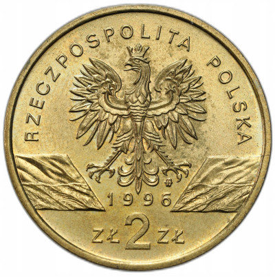 2 złote 1996 Jeż – RZADSZE