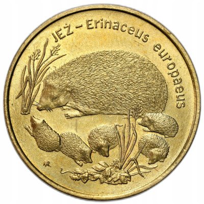 2 złote 1996 Jeż – RZADSZE