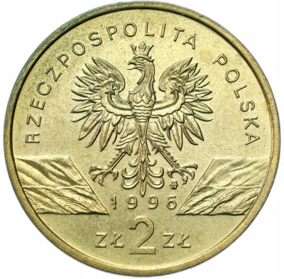 2 złote 1996 Jeż – RZADSZE