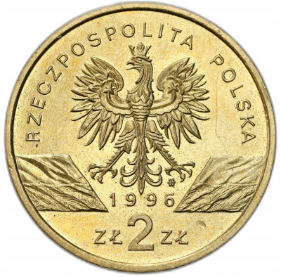 2 złote 1996 Jeż – RZADSZE