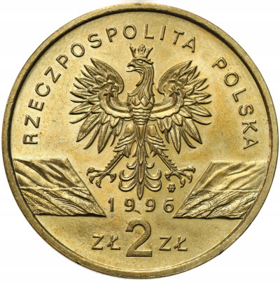 2 złote 1996 Jeż – RZADSZE