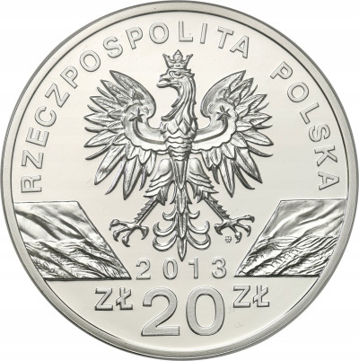 20 złotych 2013 Żubr – SREBRO