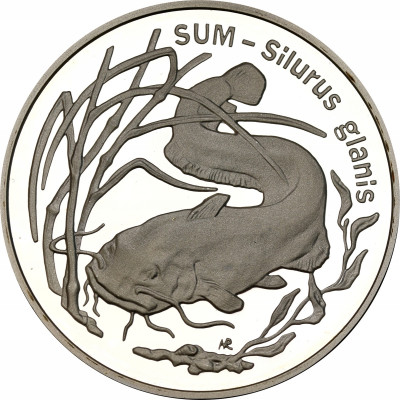 III RP. 20 złotych 1995 Sum – RZADSZE