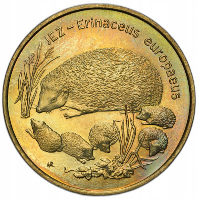 2 złote 1996 Jeż – RZADSZE
