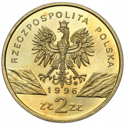 2 złote 1996 Jeż – RZADSZE