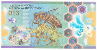 Banknot testowy PWPW, Pszczoła Miodna 013