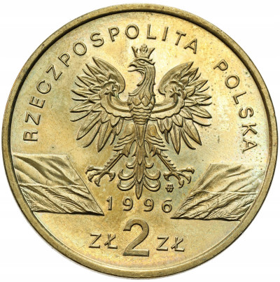 2 złote GN 1996 Jeż – RZADSZE