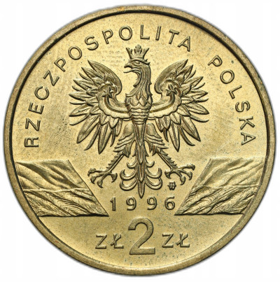 2 złote 1996 Jeż – RZADSZE