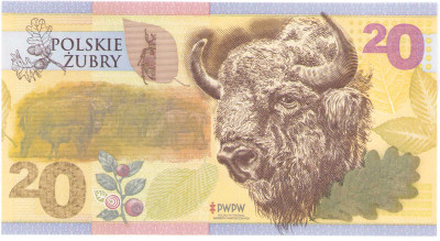 PWPW banknot testowy 20 złotych 2019 Polskie Żubry