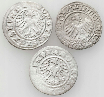 Zygmunt I Stary. Półgrosz bez daty, Kraków – 3szt