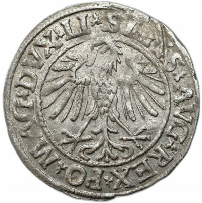Zygmunt II August. Półgrosz 1547, Wilno - ŁADNY