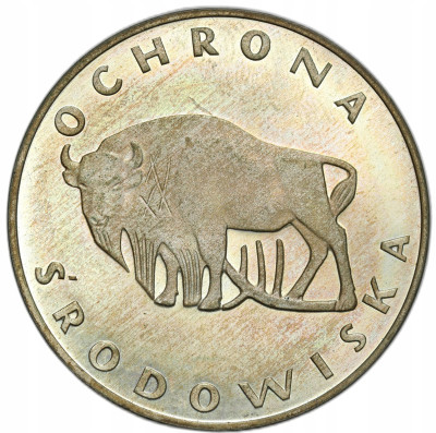 PRL. 100 złotych 1977 Żubr – SREBRO