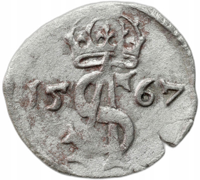 Zygmunt II August. Dwudenar 1567, Wilno – ŁADNY