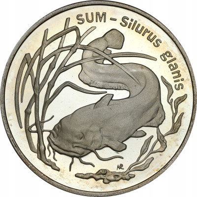 III RP. 20 złotych 1995 Sum – RZADSZE