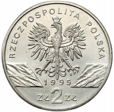 III RP. 2 złote 1995 Sum – PIĘKNE