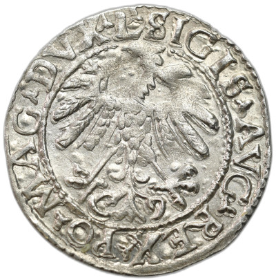 Zygmunt II August. Półgrosz 1559, Wilno - ŁADNY