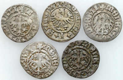 Jan I Olbracht (1492-1501). Półgrosz koronny, Kraków, 5 sztuk