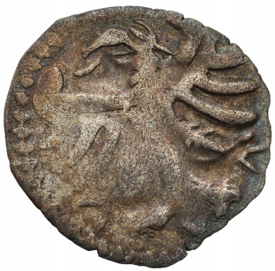 Śląsk, Księstwo Krośnieńskie. Halerz (1482–1509), Krosno - podwójna lilia
