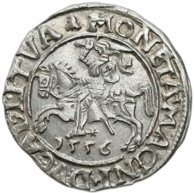 Zygmunt II August. Półgrosz 1556, Wilno - ŁADNY