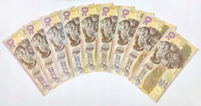 PWPW Zestaw banknotów 2019 Polskie Żubry 9 sztuk