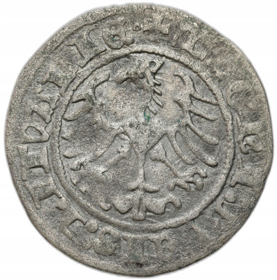 Zygmunt I Stary. Półgrosz 1515, Wilno