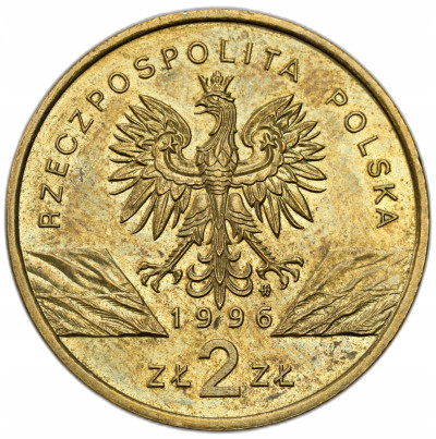 2 złote GN 1996 Jeż – RZADSZE