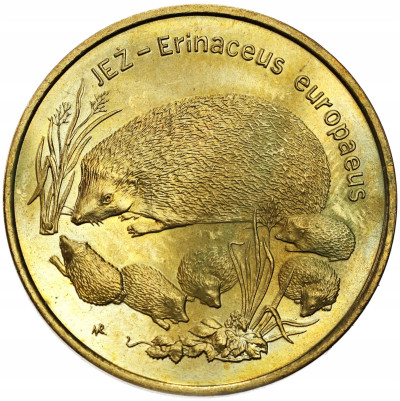 2 złote GN 1996 Jeż – RZADSZE