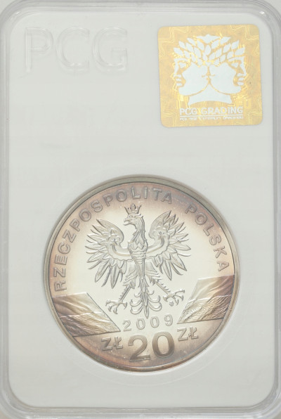20 złotych 2009 Jaszczurka Zielona – SREBRO