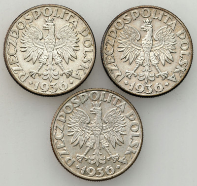 II RP. 2 złote 1936 Żaglowiec, zestaw 3 sztuk