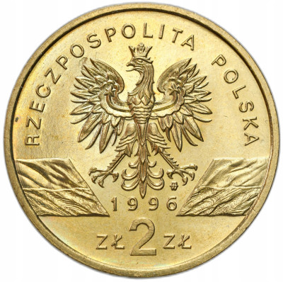 2 złote GN 1996 Jeż – RZADSZE