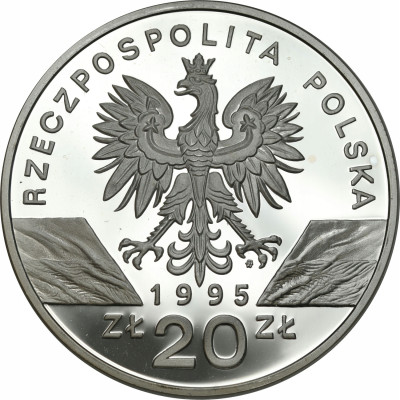 III RP. 20 złotych 1995 Sum – RZADSZE