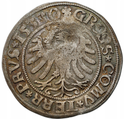 Zygmunt I Stary. Grosz, Toruń - DATA 15330 - RZADKOŚĆ