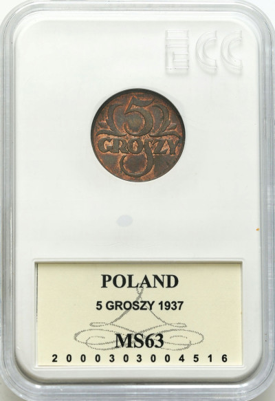 II RP. 5 groszy 1937 GCN