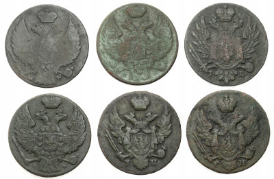 Polska XIX wiek. 1 grosz, zestaw 6 sztuk