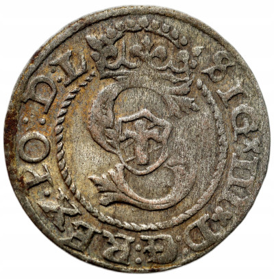 Zygmunt III Waza. Szeląg 1591, Ryga – RZADSZY