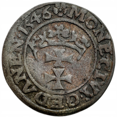 Zygmunt I Stary. Szeląg 1546, Gdańsk – RZADSZY