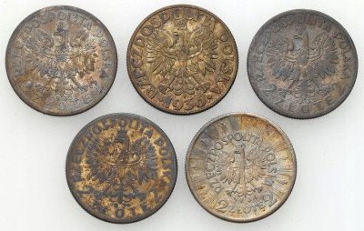 II RP 2 złotych Żaglowiec + Piłsudski + Głowa kobiety 5 szt. - SREBRO